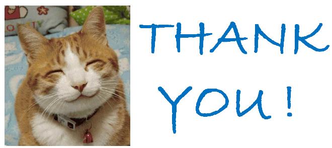 thank you thank you