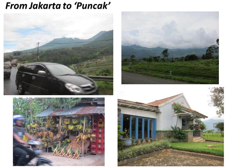 puncak puncak