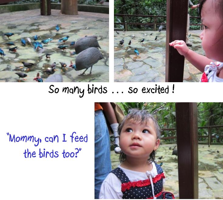 Bird 2 Bird 2