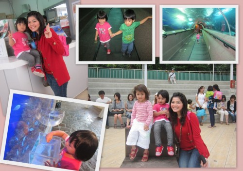 Vern school trip to Underwater World 2