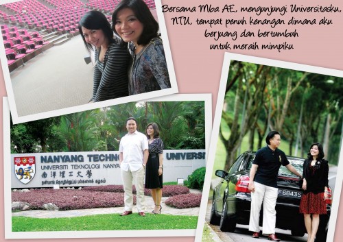 MSD - NTU